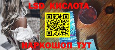 прущие грибы Краснокаменск